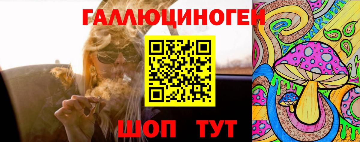 Бийск  Галлюциногенные грибы GOLDEN TEACHER  Вход с VPN  Галлюциногенные грибы Cubensis 
